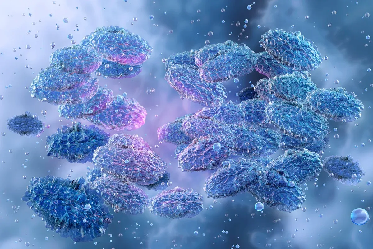 Peste pneumônica é fatal e causa catarro comparado a xarope de framboesa
