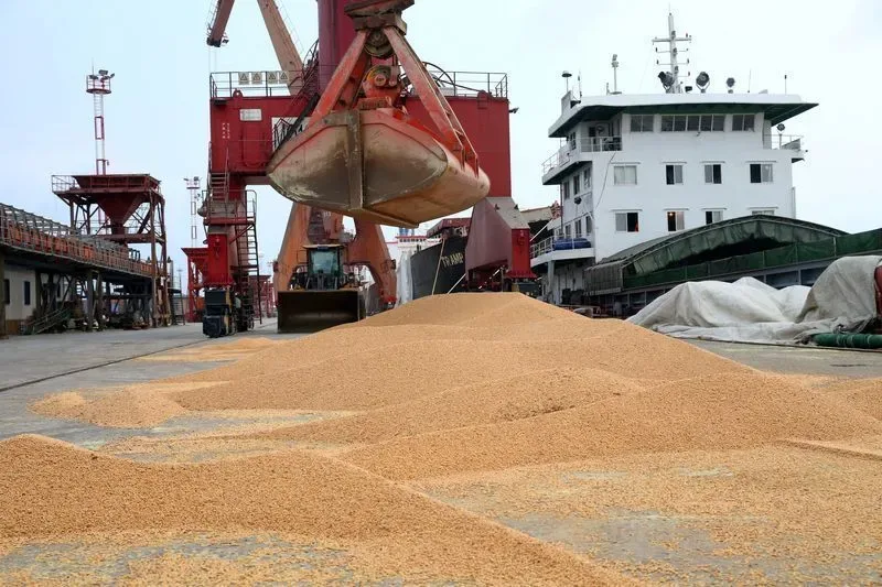Soja deve ter preços sustentados por compras da China e risco climático