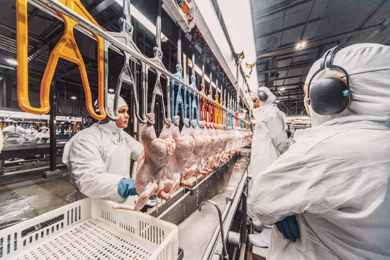 Brasil exportou US$ 5,7 bilhões em frango em seis meses. O que isso muda no M&A dos frigoríficos