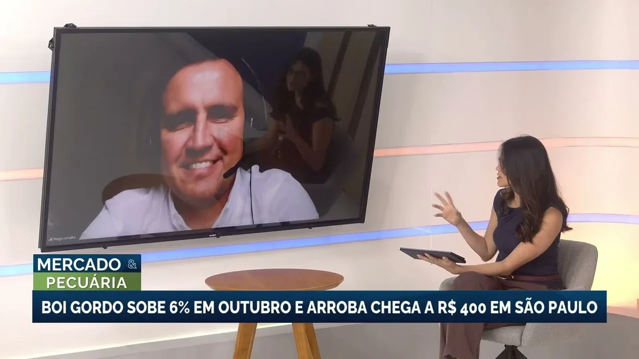 Boi gordo atinge R$ 400 em São Paulo com alta de 6% em outubro
