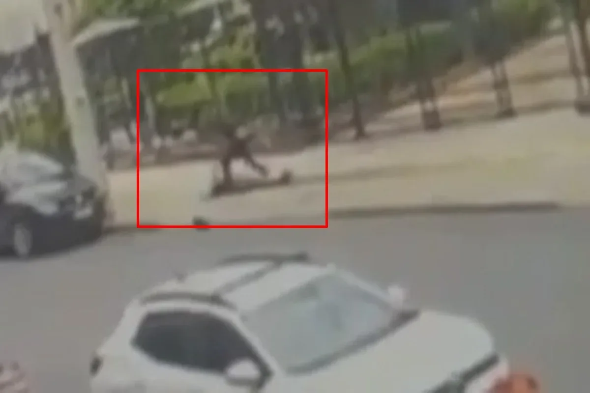 30 segundos de terror: câmeras mostram agressão de professora da UFG em rua