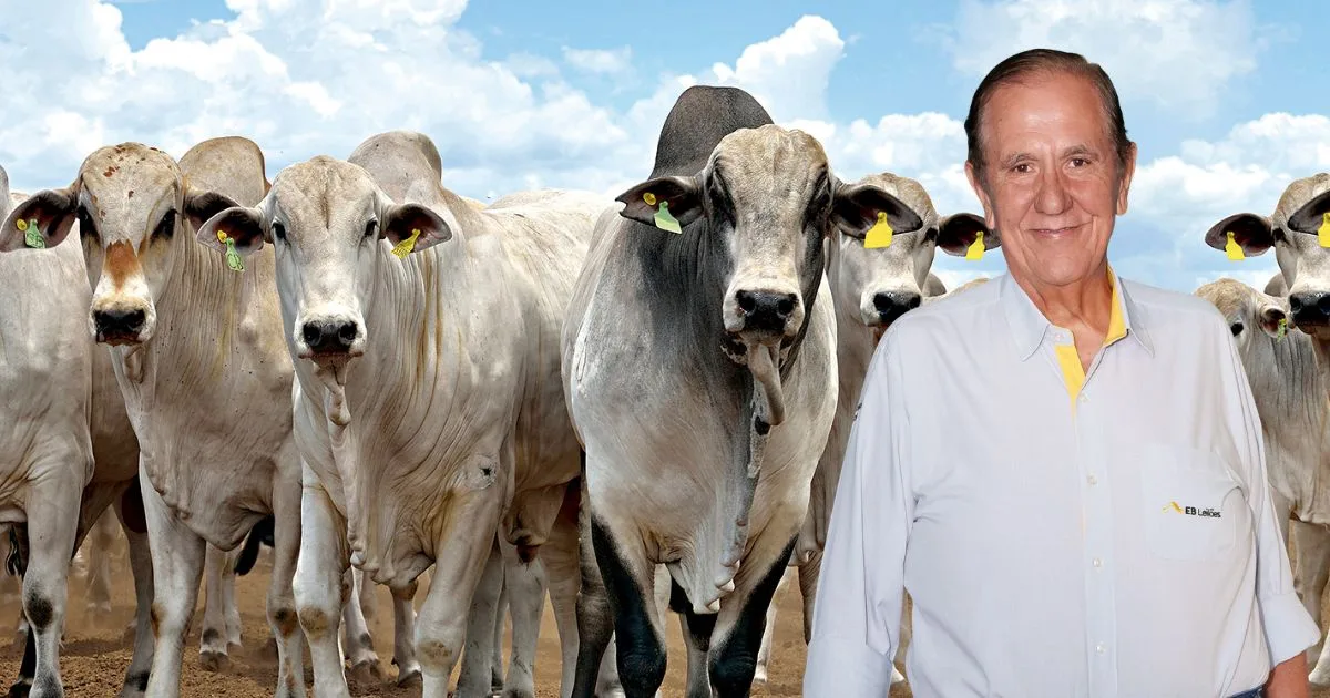 Pecuária de corte: quem manda no mercado, hoje, é quem tem produto