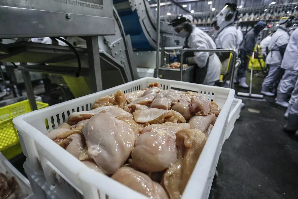 Caso de Newcastle preocupa, mas mercado de frango segue estável