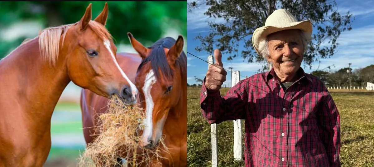 Aos 103 anos, produtor ainda dirige, anda a cavalo e acompanha duas fazendas em MS