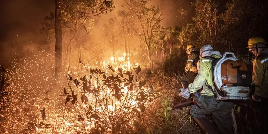 Mais de 200 incêndios são controlados pelo Ibama no Amazonas