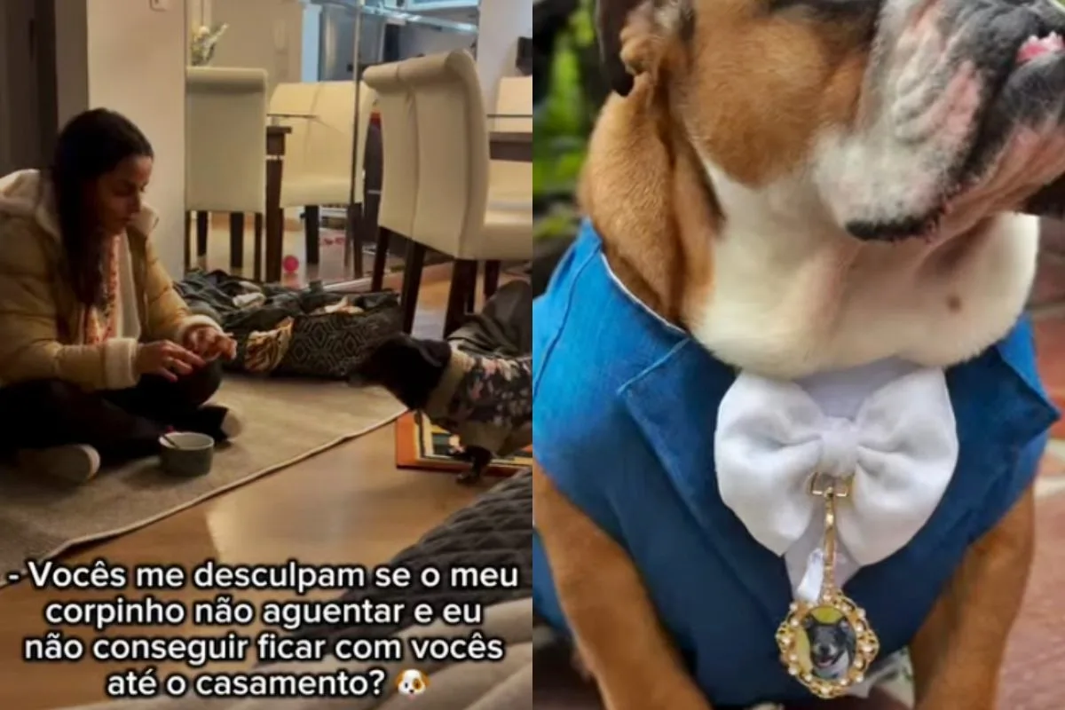 Cão homenageia companheira que morreu 2 meses antes de tutores se casarem