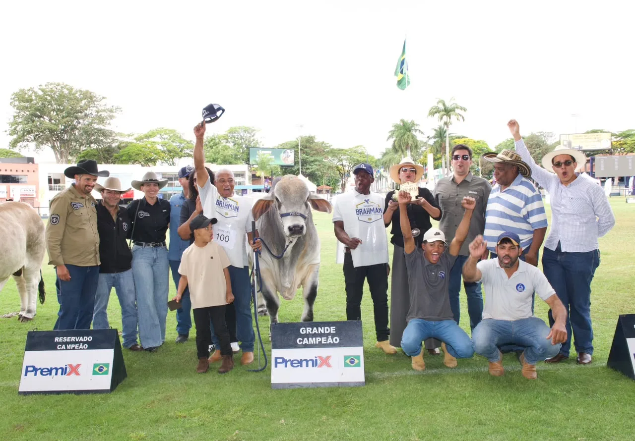 22ª Expobrahman registra crescimento e encerra calendário da raça